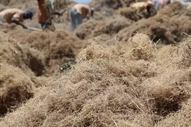 1507702372727118.jpg 3.jpg