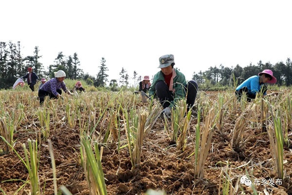 1586749744903311.jpg 640.webp (2).jpg