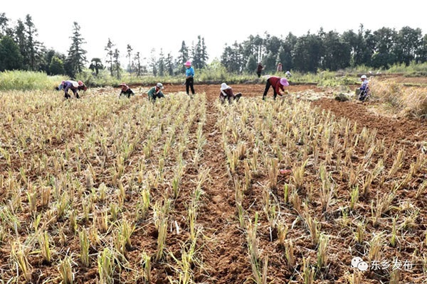 1586749761234542.jpg 640.webp (3).jpg